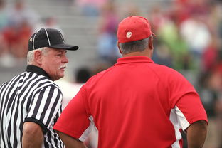 米兰体育app下载安装-意甲裁判语义分析辅助判罚准确性的应用探讨，意甲裁判名单