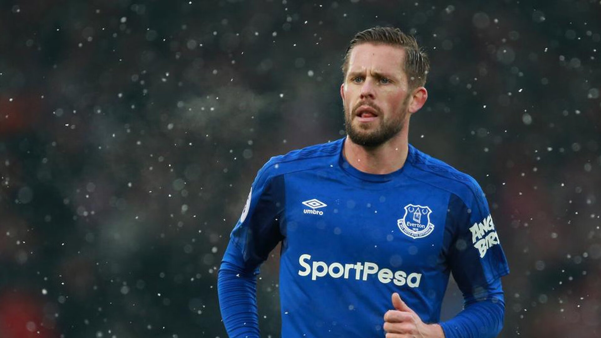 高校运动心理辅导服务体系构建,运动员的心理辅导